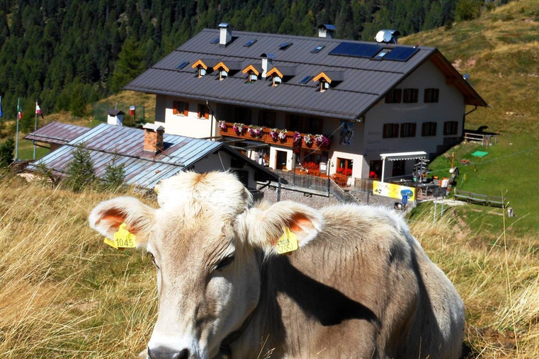 Rifugio Capanna Passo Valles