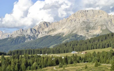 Passeggiata Passo Lavazè – Malga Costa