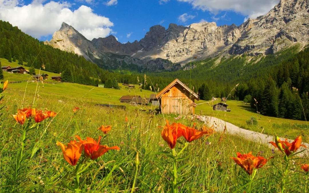 Passeggiata Val San Nicolò – Baita Ciampiè