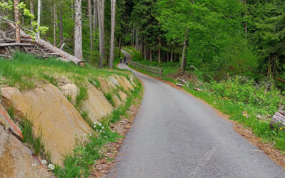 Passeggiata dalla località Ferrari a Montagnaga