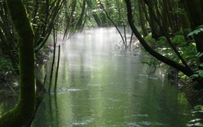 Passeggiata Riserva naturale provinciale di Fontanazzo