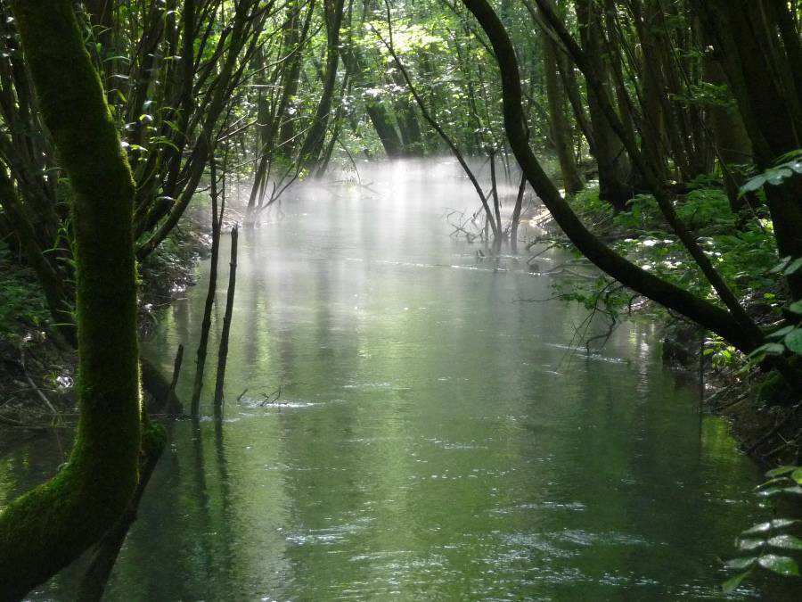 Passeggiata Riserva naturale provinciale di Fontanazzo