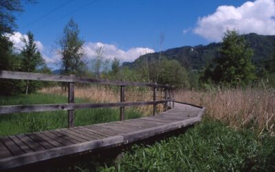 Passeggiata Biotopo lago di Pudro