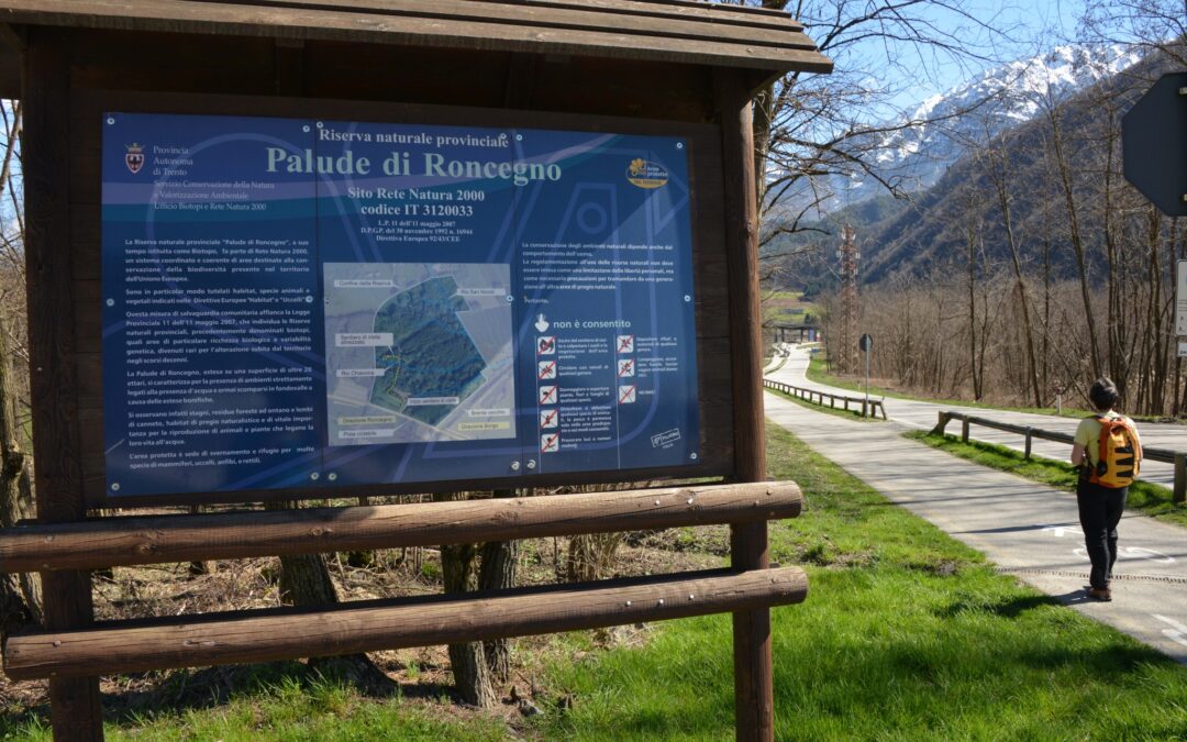 Passeggiata Biotopo palude di Roncegno